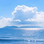 Avatar de Álvaro Solís