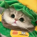 Avatar de Monserrat Peña